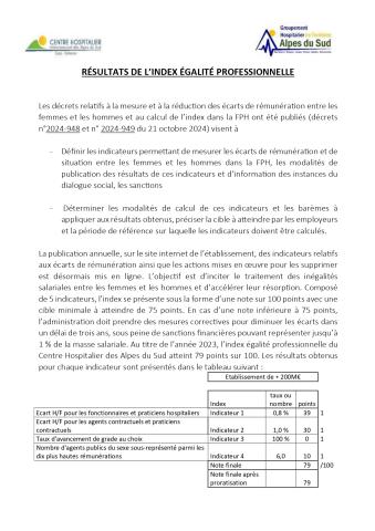 communication-site-chicas-index-egalite-h-f