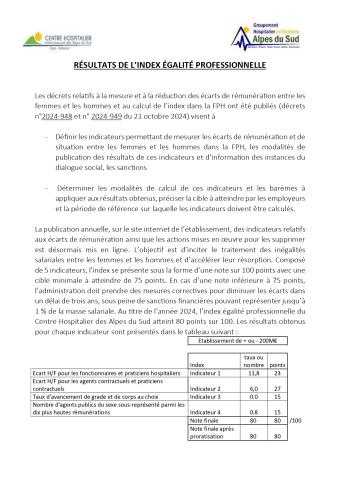 communication-site-chicas-index-egalite-h-f