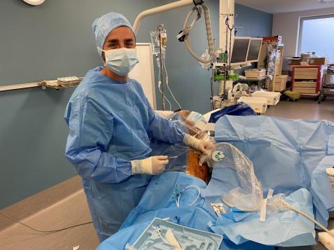 Service d'abord vasculaire