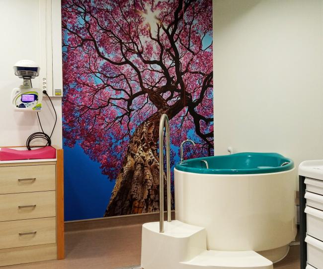 salle nature