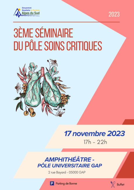 3ème séminaire du pôle soins critiques