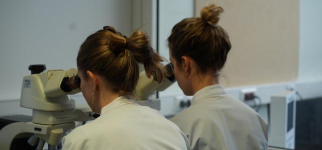 Laboratoire